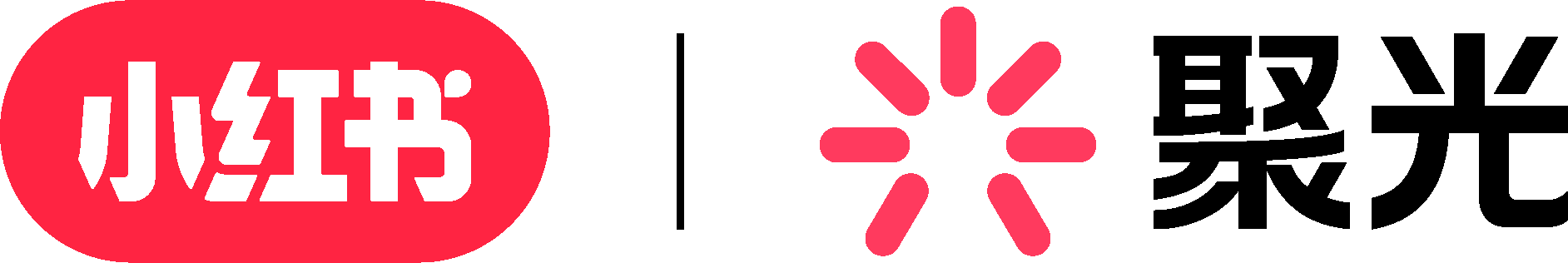 小红书聚光平台 logo