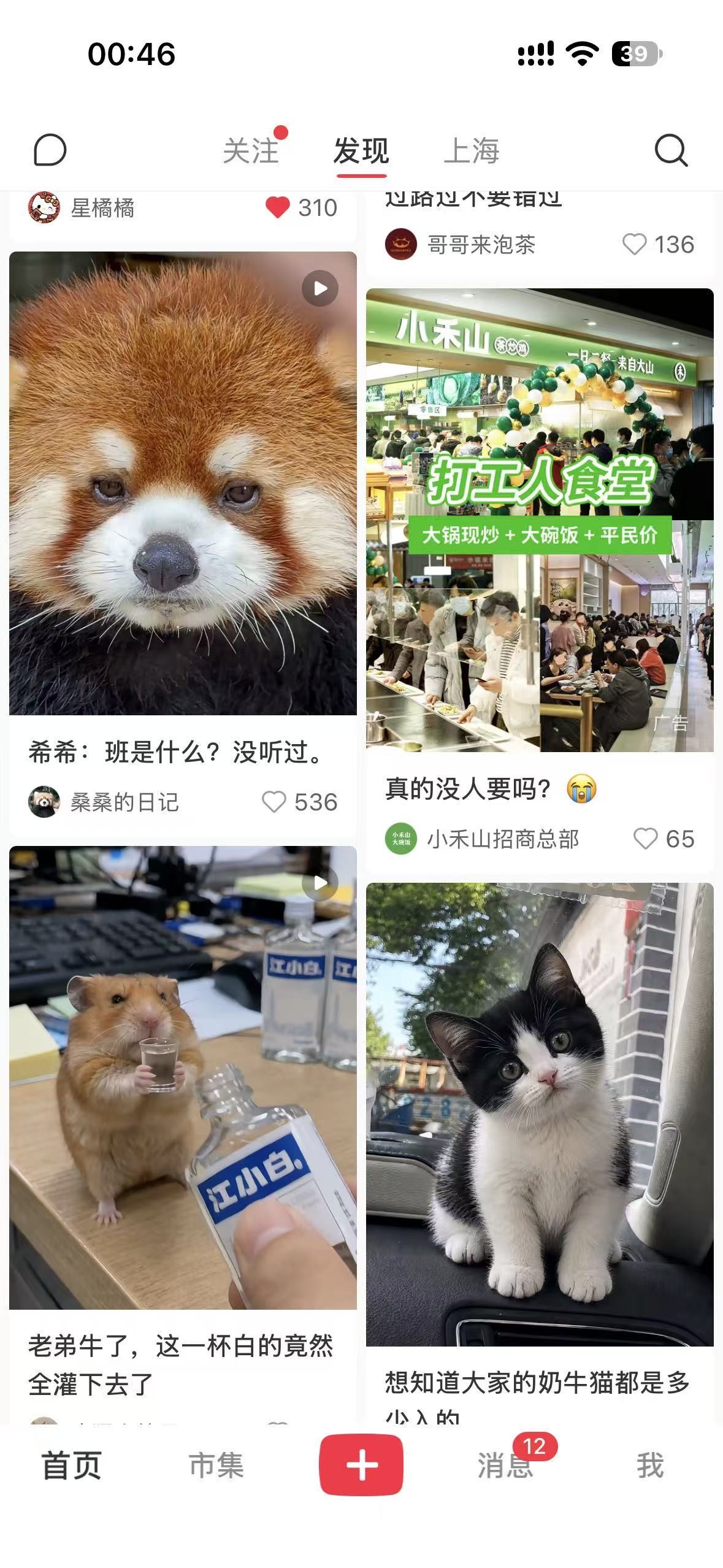 小红书发现页推荐信息流投放版位示意